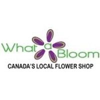 What A Bloom coupons